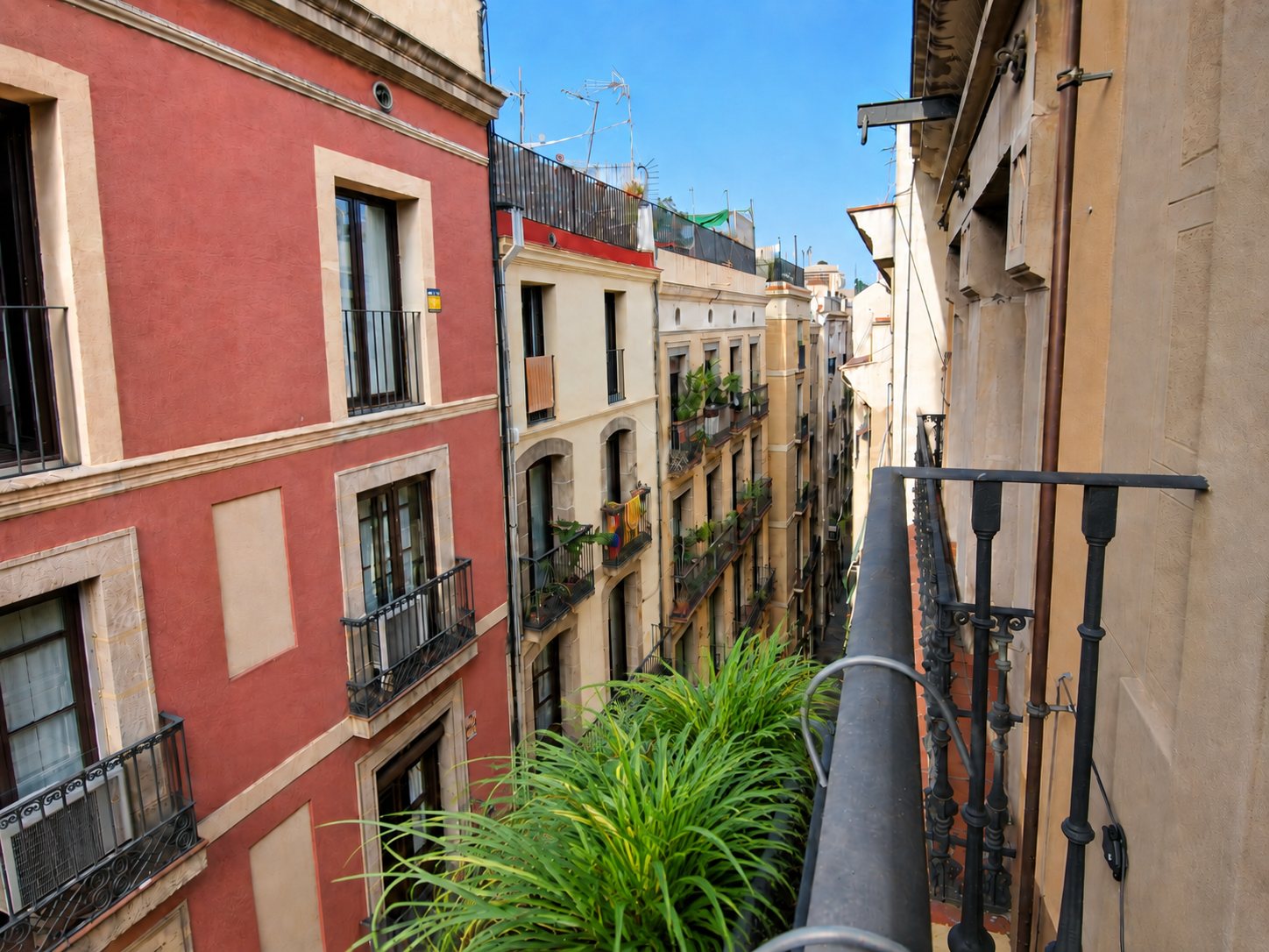 The street balcony with planted greenery along the rail, looking down Carrer d'Escudellers